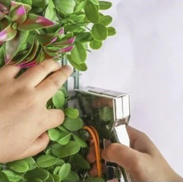 Green wall panel installation Green wall panel installation