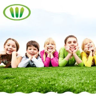 Lemmikloomade seeria 20mm. Ohutu materjali kasutamine Koerte ja kasside kunstlik rohumaa