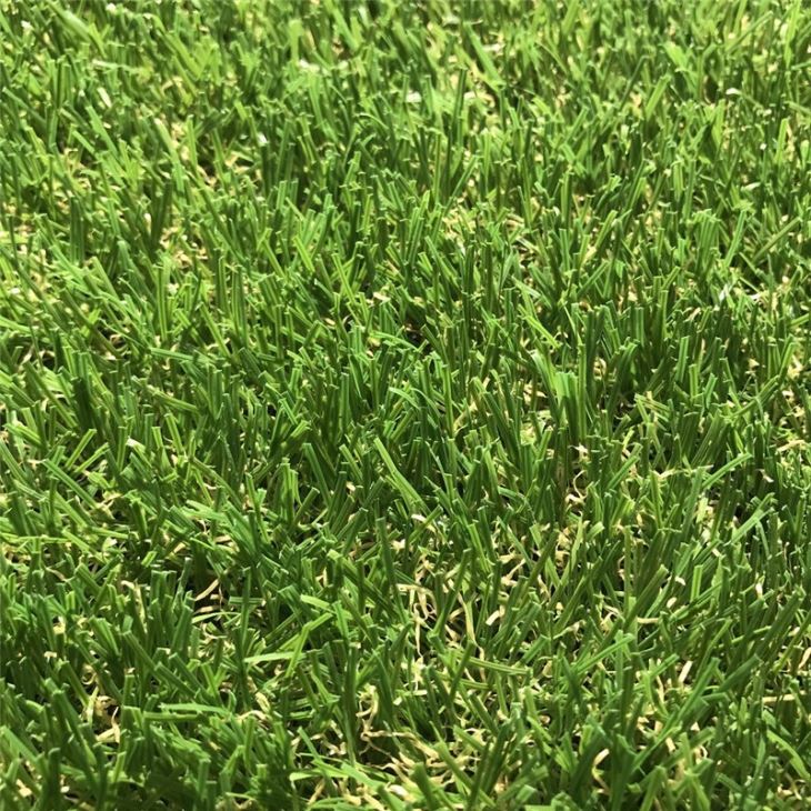 25mm Artificial Turf